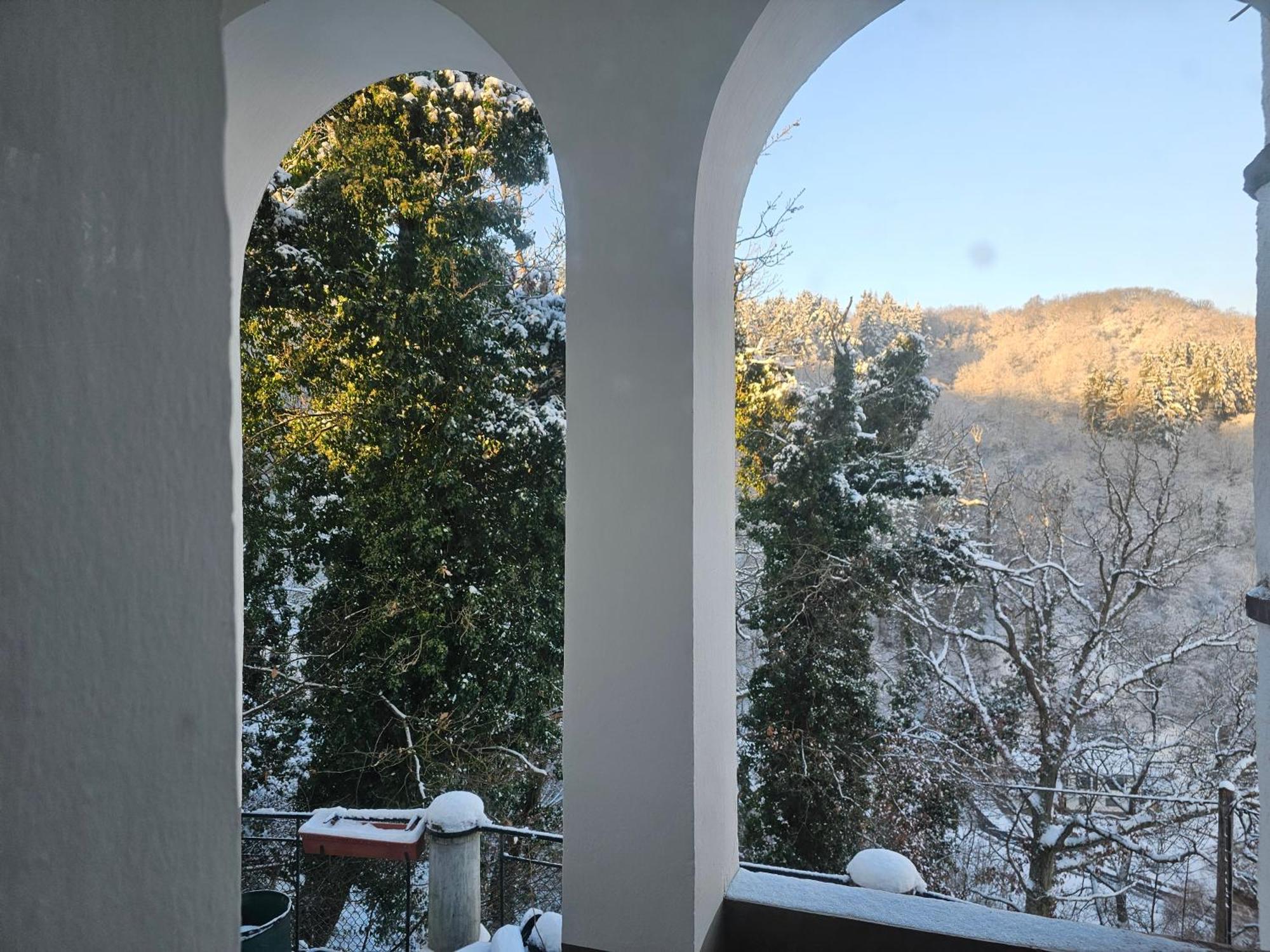 Little Rhineview Chateau Ug Boppard Exterior foto